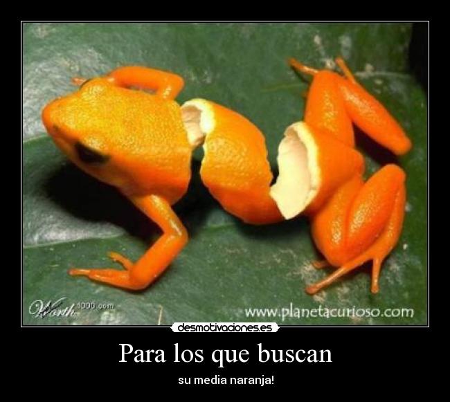 Para los que buscan - 