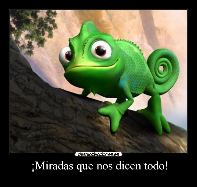carteles iguana desmotivaciones