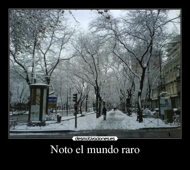 Noto el mundo raro - 