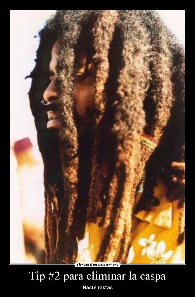 Tip #2 para eliminar la caspa - Haste rastas