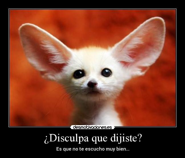 ¿Disculpa que dijiste? - Es que no te escucho muy bien...