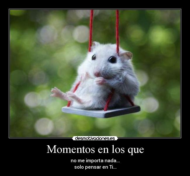 Momentos en los que - 