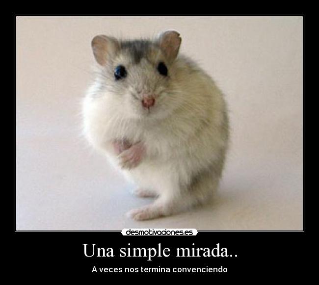 Una simple mirada.. - A veces nos termina convenciendo