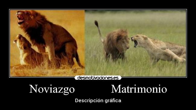 Noviazgo Matrimonio - Descripción gráfica