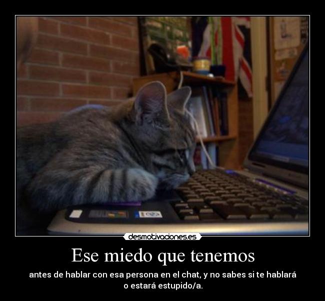 Ese miedo que tenemos - antes de hablar con esa persona en el chat, y no sabes si te hablará
o estará estupido/a.