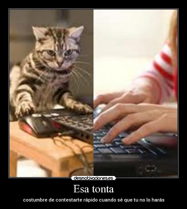 Esa tonta - costumbre de contestarte rápido cuando sé que tu no lo harás