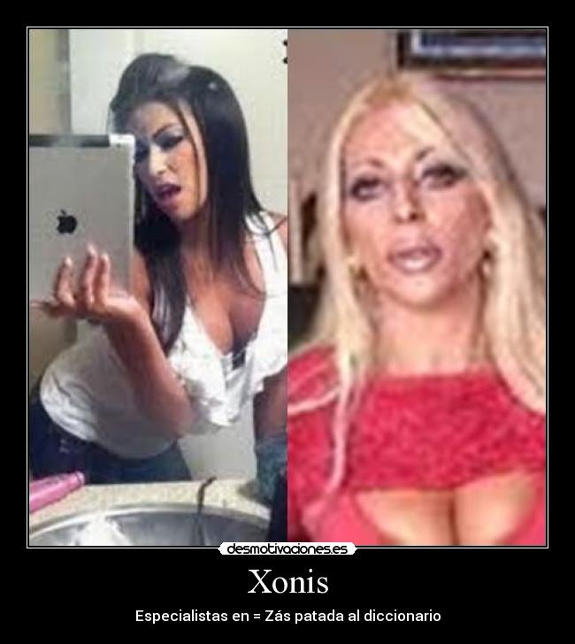 Xonis - Especialistas en = Zás patada al diccionario