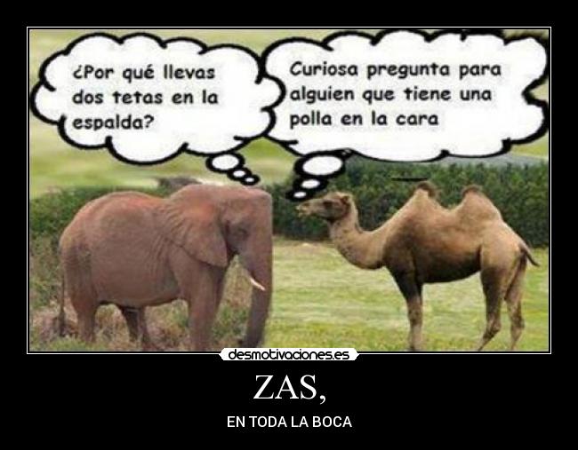 ZAS, - 
