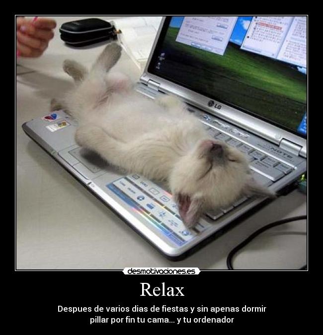Relax - Despues de varios dias de fiestas y sin apenas dormir
pillar por fin tu cama... y tu ordenador