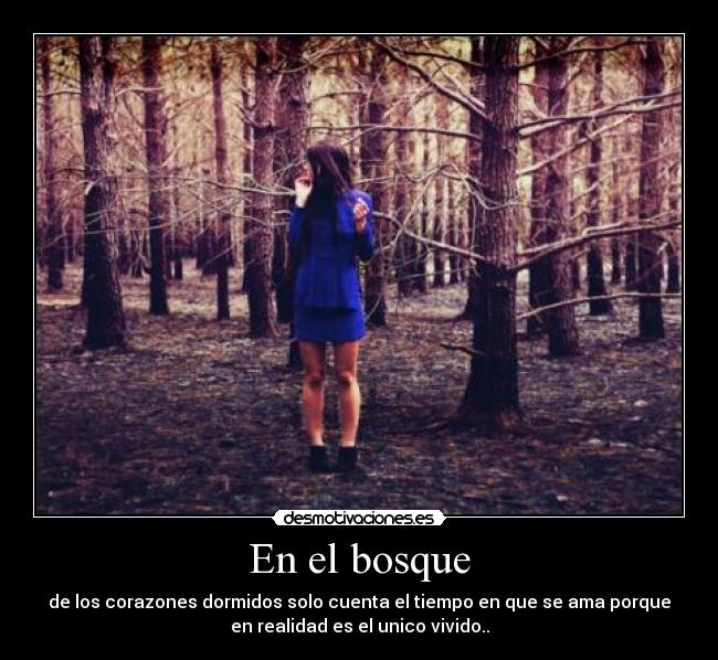 En el bosque -
