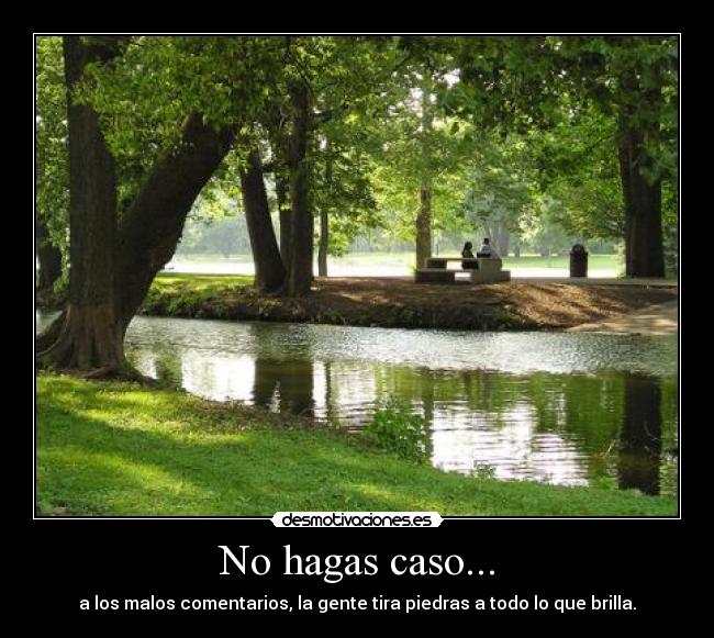 No hagas caso... - a los malos comentarios, la gente tira piedras a todo lo que brilla.