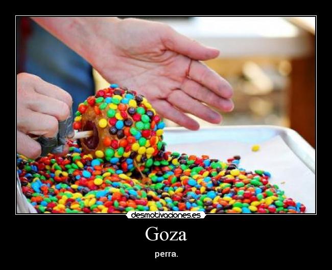 Goza - perra.