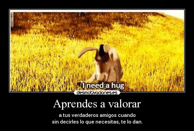 Aprendes a valorar - 