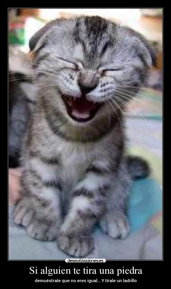 Si alguien te tira una piedra -