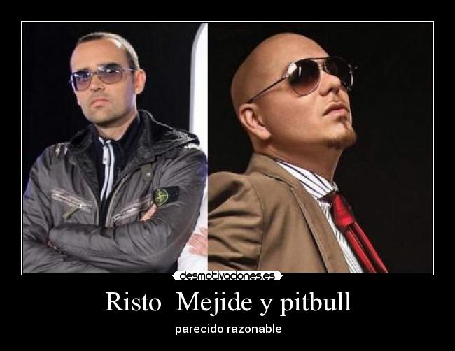 Risto  Mejide y pitbull - parecido razonable