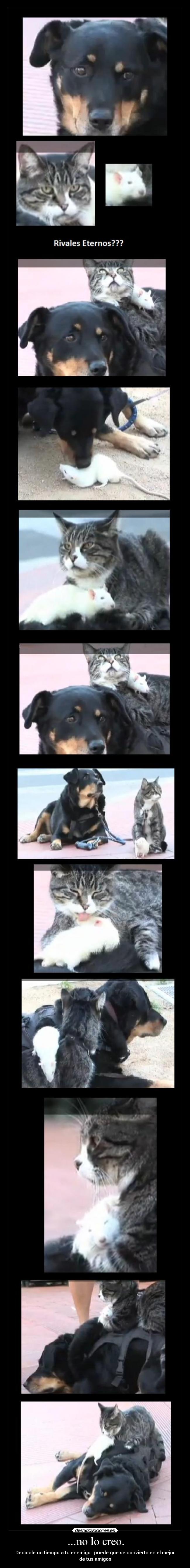 ...no lo creo. - Dedícale un tiempo a tu enemigo...puede que se convierta en el mejor de tus amigos