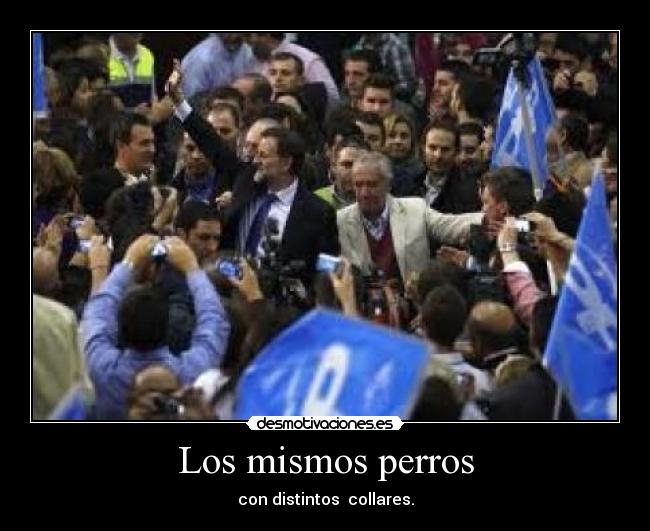 Los mismos perros - con distintos collares.