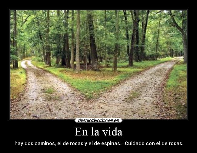 En la vida - hay dos caminos, el de rosas y el de espinas... Cuidado con el de rosas.
