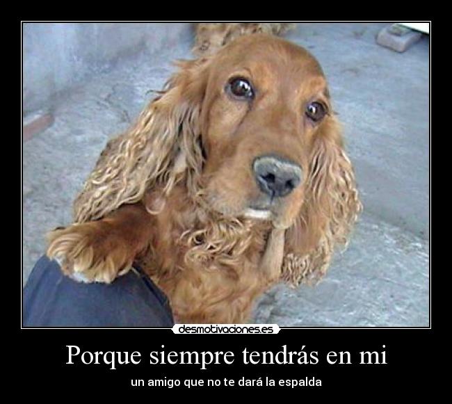 Porque siempre tendrás en mi - 