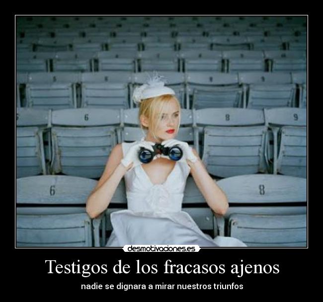 Testigos de los fracasos ajenos -