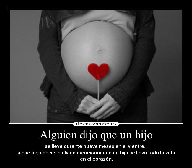 carteles embarazo desmotivaciones