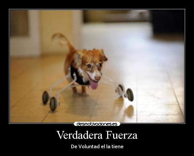 Verdadera Fuerza - De Voluntad el la tiene