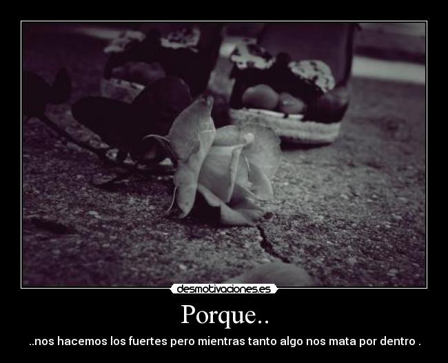 Porque.. - 
