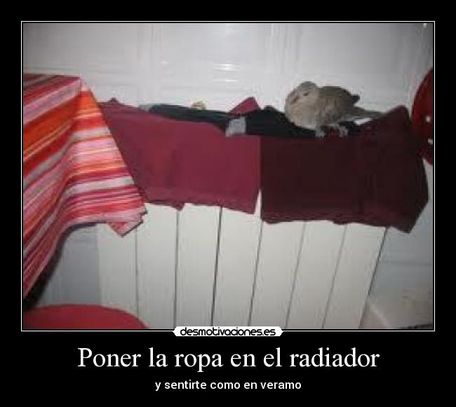 Poner la ropa en el radiador -