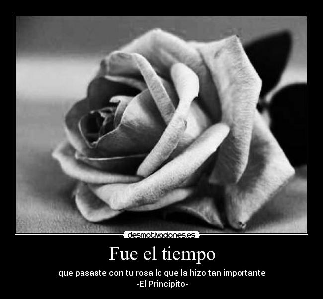Fue el tiempo - 