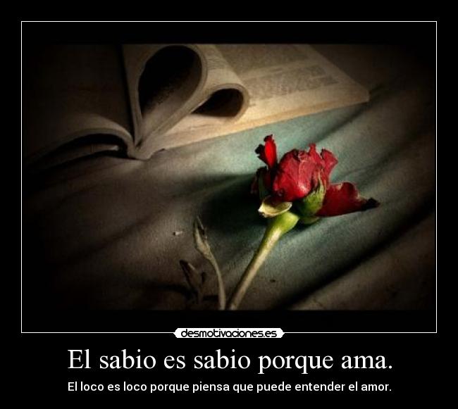 carteles miguelrap con otro cartel paulo coelho desmotivaciones