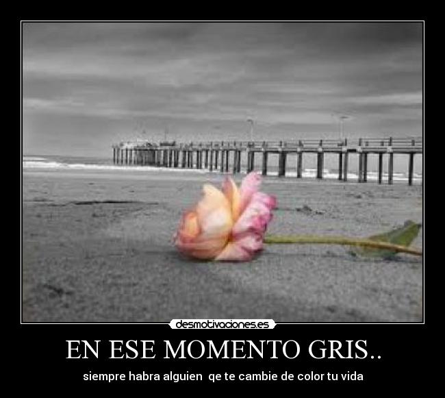 carteles rosaa desmotivaciones