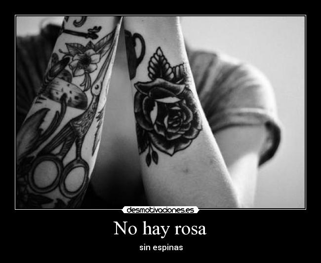 No hay rosa - sin espinas