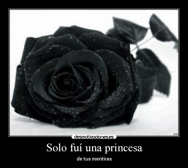 carteles princesa tus mentiras desmotivaciones