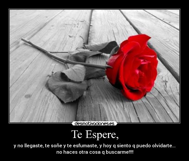 carteles chikita prexiosa desmotivaciones