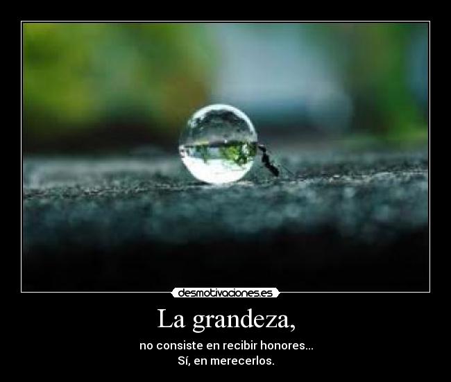 La grandeza, - no consiste en recibir honores...
Sí, en merecerlos.
