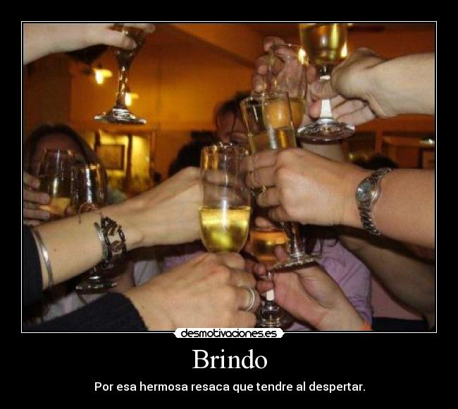 Brindo - 