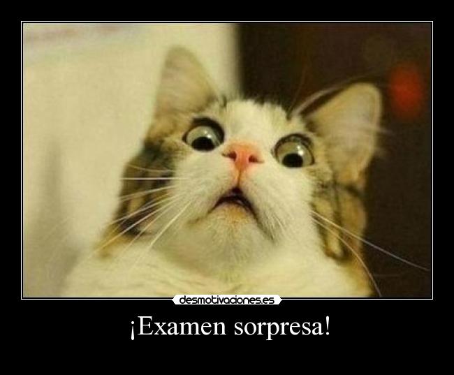 ¡Examen sorpresa! - 