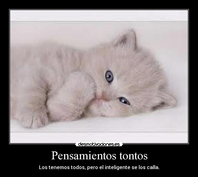 carteles pensamientos paula2000 desmotivaciones