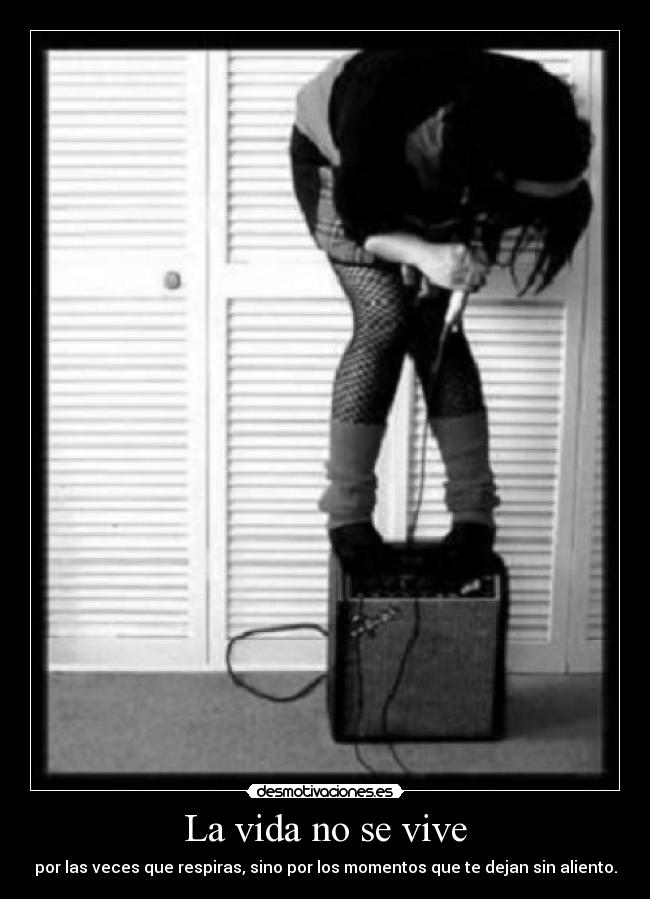 La vida no se vive -