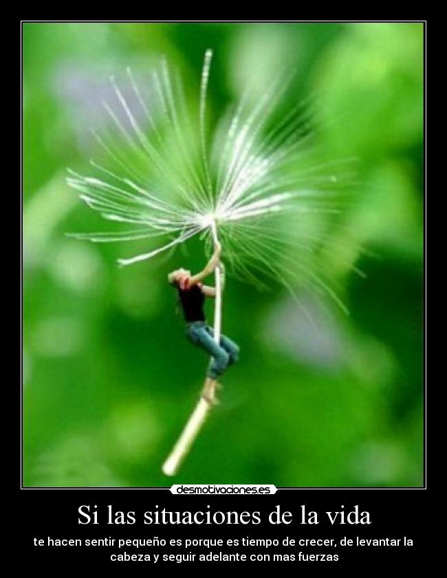 carteles vida mas desmotivaciones