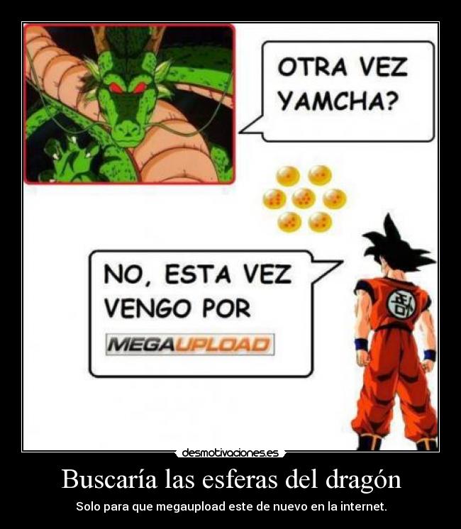 Buscaría las esferas del dragón - 