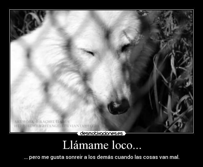 Llámame loco... -