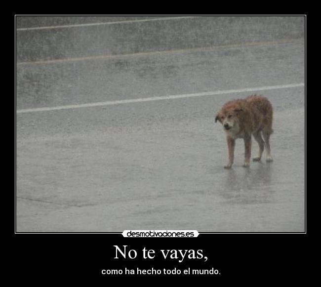 No te vayas, - 