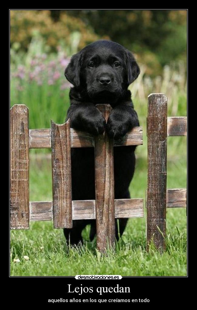 Lejos quedan - aquellos años en los que creíamos en todo
