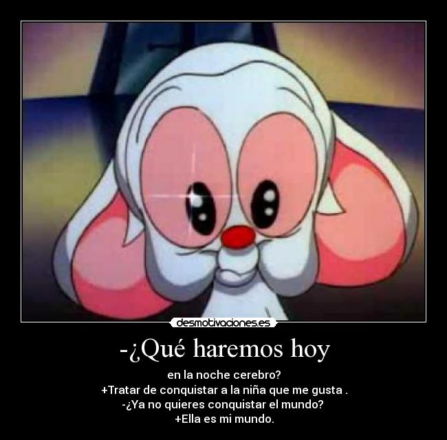 -¿Qué haremos hoy - 