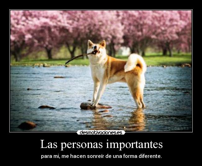 Las personas importantes - 