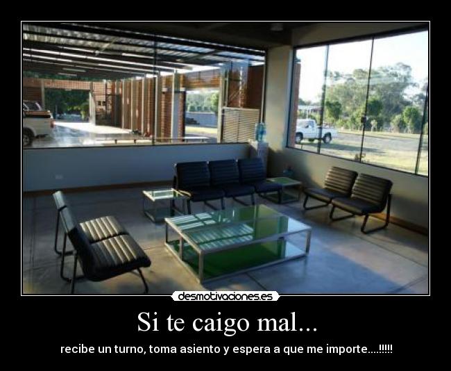 Si te caigo mal... -