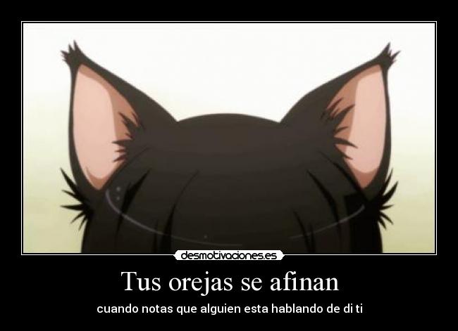 carteles que anime asi quwe pregunten solo que son orejas neko girl desmotivaciones