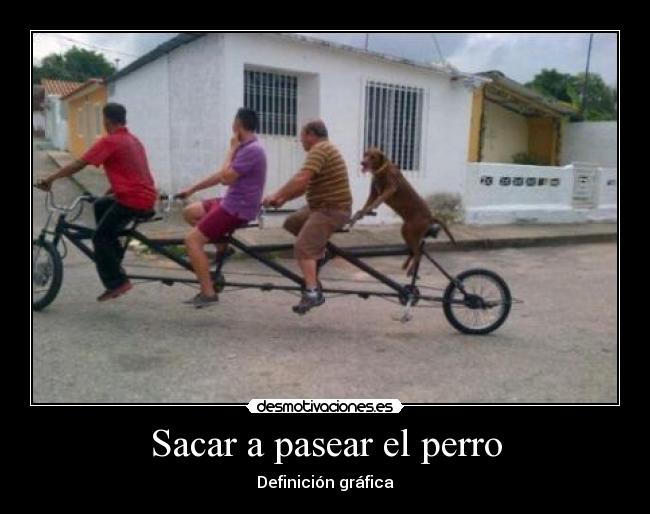 Sacar a pasear el perro - 