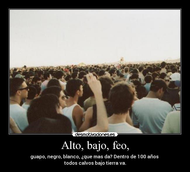 carteles belkin kaseo desmotivaciones